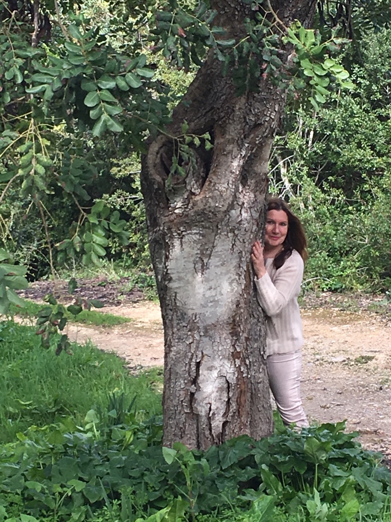 Carobbaum und ich Lichtregen