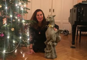 Lichtregen-Weihnachten-500x350