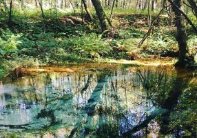 Teaser-Workshop-Herbst25